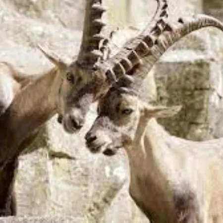 Riverine - Ideal Up To 4 Or 6 Berno